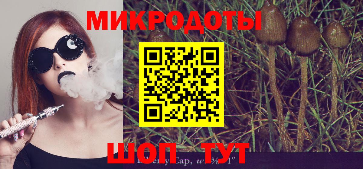 Галлюциногенные грибы прущие грибы Горячий Ключ