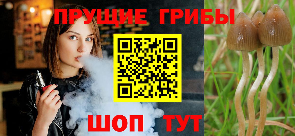 Псилоцибиновые грибы мухоморы  Вход с VPN  Галлюциногенные грибы GOLDEN TEACHER  Горячий Ключ 